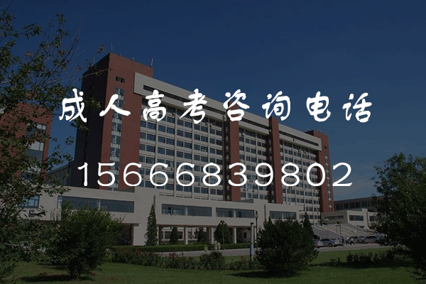 2024年滨州成人高考考几天？