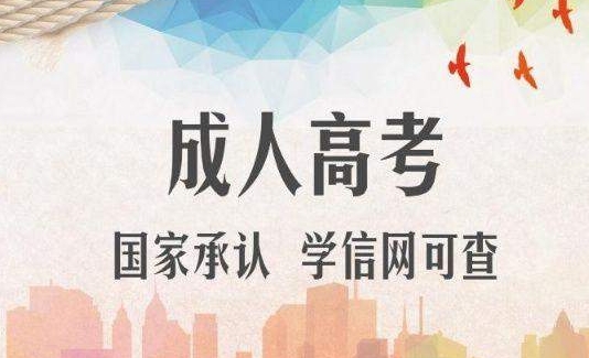 2024年滨州成考专升本报考流程